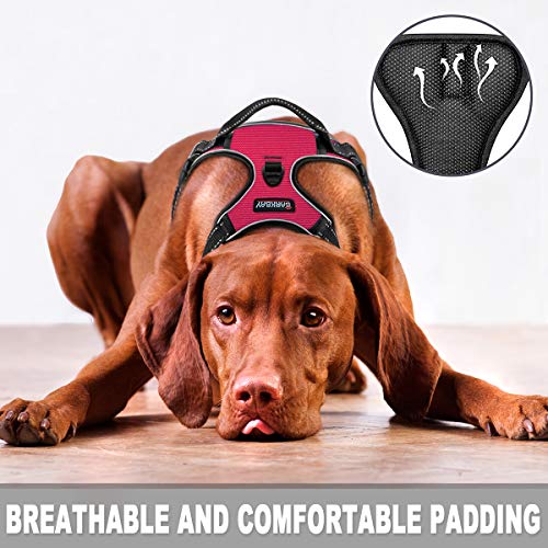 BARKBAY Arnés de perro sin tirón Clip frontal Heavy Duty Reflectante Fácil Control Mango para Pasear perros grandes (rosa, XL)