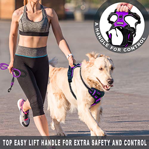 BARKBAY Arnés para perro sin tirones, gran escalón reflectante con clip frontal y mango de fácil control para caminar entrenamiento y correr