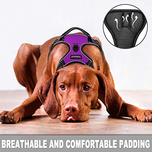 BARKBAY Arnés para perros Arnés para mascotas ajustable para exteriores, chaleco de material Oxford reflectante de 3M para perros de fácil control para perros pequeños, medianos y grandes (morado, XL)