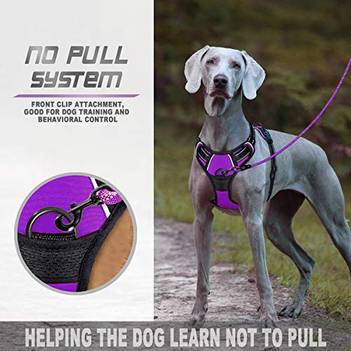 BARKBAY Arnés para perros Arnés para mascotas ajustable para exteriores, chaleco de material Oxford reflectante de 3M para perros de fácil control para perros pequeños, medianos y grandes (morado, XL)