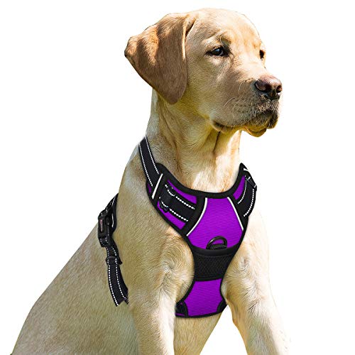 BARKBAY Arnés para perros Arnés para mascotas ajustable para exteriores, chaleco de material Oxford reflectante de 3M para perros de fácil control para perros pequeños, medianos y grandes (morado, XL)