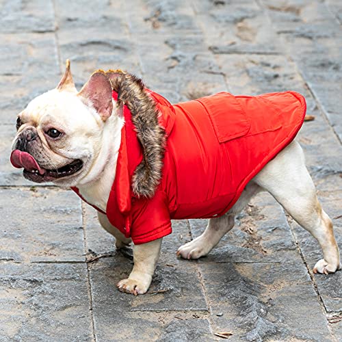 BCASE, Abrigo para Perro, con Capucha de Pelos, Ropa para Mascotas, Resistente al Agua y al Viento con Forro Interior de Algodón Suave y Cálido, Perros y Gatos. Color Rojo. Tallas S, M, L y XL