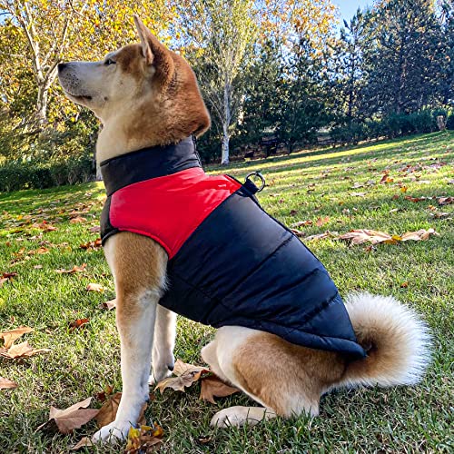 BCASE, Impermeable para Perro, Ropa para Mascotas, a Prueba de Agua y Nieve, Ropa de Invierno, Perros Grandes, Color Rojo. Talla 3XL 4XL 5XL 6XL 7XL