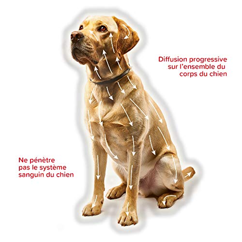 Beaphar Canishield Collar para perros grandes 1 collar