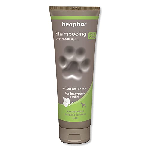 Beaphar Champú Alta Cosmética Perros Todo Tipo de Pelo, Un tamaño 250 ml 250 ml