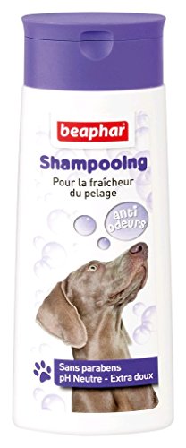 Beaphar Champú de Burbujas antiolor para Perros – Limite los olores desagradables del Pelaje – Deja un Pelaje Fresco y perfumado – pH Neutro Que respeta la epidermis – Sin parbanos – 250 ml