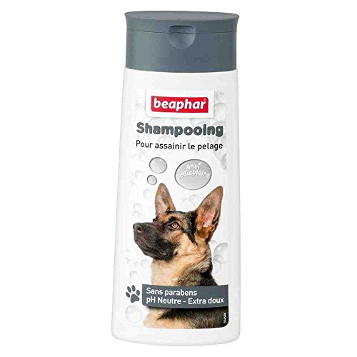 Beaphar – Champú de Burbujas para Perros – con Aceite de caléndula y Aceite Esencial de Pino – contra la aparición de caspa y Calma la epidermis – pH Neutro y sin parbú – 250 ml