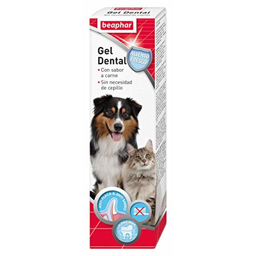 Beaphar Gel Dental Perro Y Gato 100GR, Estándar, Único, BEA15685