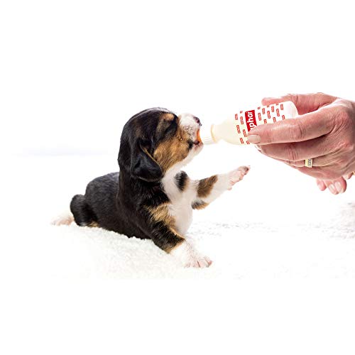 Beaphar Leche de cría de Lactol 250 g, sustituto de Leche Materna Completo para Cachorros Desde el Nacimiento