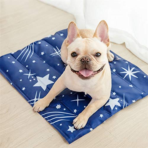 beautyhe Colchon Perro Lavable Antideslizante Alfombrilla Camas Perros Enfriadora Durable Resistente Colchon Impermeable Exterior para Perros Gato Blue,Small