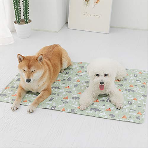 beautyhe Colchon Perro Lavable Antideslizante Gel No Tóxicas Alfombra Enfriadora Durable Resistente Colchon Impermeable Exterior para Perros Gato Green,Small