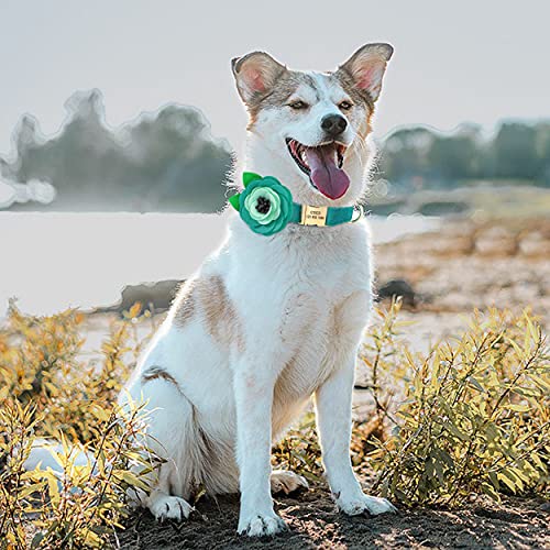 Beirui Collar de Terciopelo Suave para Perro con Accesorios de Flores extraíbles, Collar de Perro Personalizado con Placa de Nombre, Adorable Collar para Perros pequeños,medianos y Grandes (Verde,M)