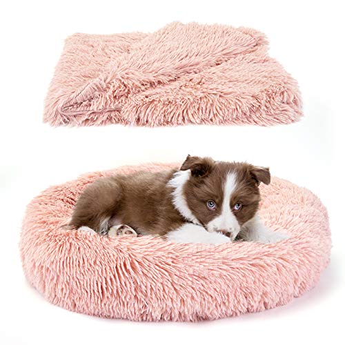 Belababy Bundle Savings – La cama original para perro de peluche calmante en tamaño pequeño de 36 x 36 pulgadas y manta para mascotas en 40 x 48 pulgadas, color rosa