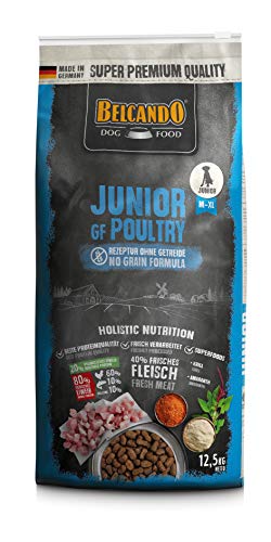 Belcando Junior GF Poultry Perro 12,5kg