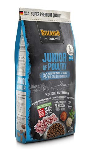 Belcando Junior GF Poultry Perro 1kg