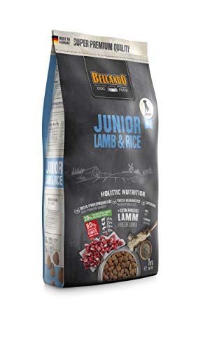 Belcando JUNIOR LAMB & RICE 1kg