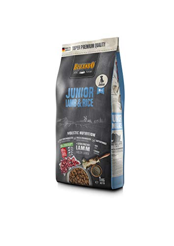 Belcando JUNIOR LAMB & RICE 1kg