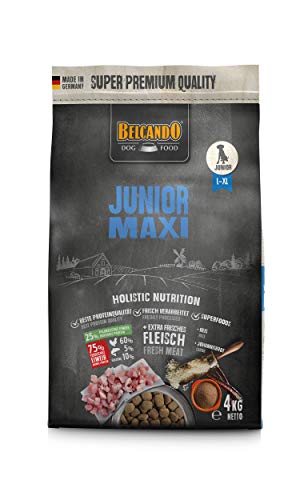 Belcando Junior Maxi 4 Kg