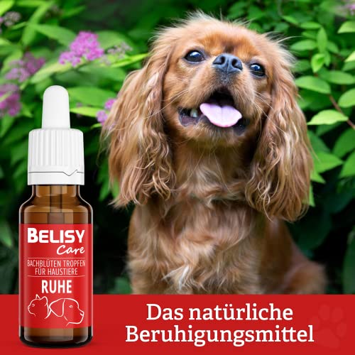 BELISY Calma de flores de Bach para perros y gatos, calmante contra la ansiedad y el estrés, mezcla original según Dr. Bach, gotas de emergencia para calmar a las mascotas, 20 ml