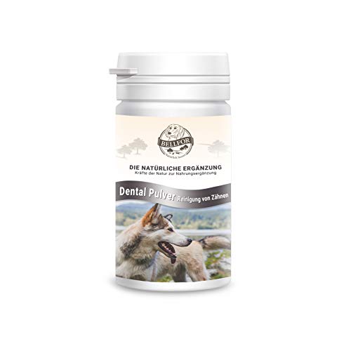 Bellfor Polvo dental para perros, 80 g