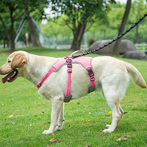 BELPRO Arnés de Apoyo Multiusos para Perro, a Prueba de Escape, Chaleco Reflectante Ajustable con Mango Duradero, arnés para Perros Grandes y Activos (Rosado, XL)