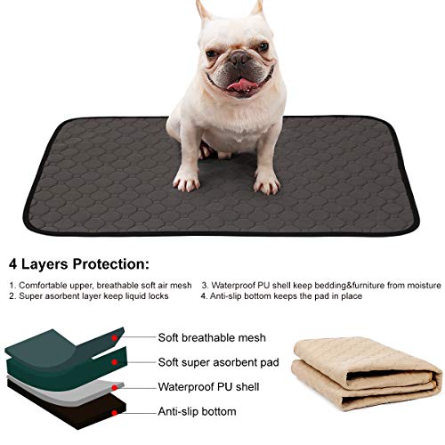 BePetMia Alfombras Lavables y Superabsorbentes, Pee Pad Sanitarias Reutilizables para Jaulas, Cama, Vehiculos, Soluciones para Cachorros y Perros Que Padecen Incontinencia (S: 60x45cm, Gris)