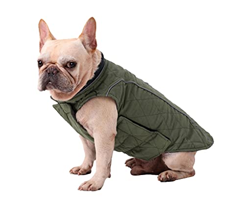 BePetMia Chaqueta de Invierno para Perros, Abrigo con 7 Tallas para Perros pequeños, medianos y Grandes, Traje de Nieve a Prueba de Viento, Ropa para Perros de línea Reflectante (S, Verde)