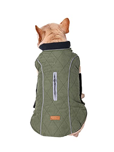 BePetMia Chaqueta de Invierno para Perros, Abrigo con 7 Tallas para Perros pequeños, medianos y Grandes, Traje de Nieve a Prueba de Viento, Ropa para Perros de línea Reflectante (S, Verde)