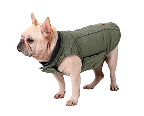 BePetMia Chaqueta de Invierno para Perros, Abrigo con 7 Tallas para Perros pequeños, medianos y Grandes, Traje de Nieve a Prueba de Viento, Ropa para Perros de línea Reflectante (S, Verde)