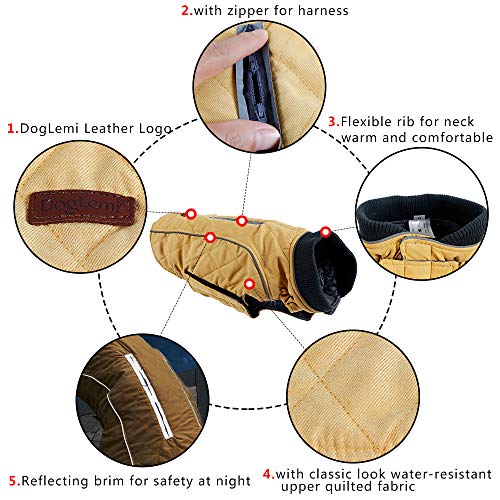 BePetMia Chaqueta de Invierno para Perros, Abrigo con 7 Tallas para Perros pequeños, medianos y Grandes, Traje de Nieve a Prueba de Viento, Ropa para Perros de línea Reflectante (S, Verde)