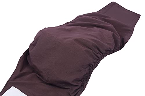 BePetMia Pañales Lavables para Perros machos, Ropa Interior higiénica para Cachorros, Perros en celo e incontinencia, 5 Tallas para Perros pequeños, medianos y Grandes (M: 42-50cm, Set-2)