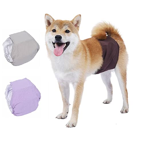 BePetMia Pañales Lavables para Perros machos, Ropa Interior higiénica para Cachorros, Perros en celo e incontinencia, 5 Tallas para Perros pequeños, medianos y Grandes (M: 42-50cm, Set-2)