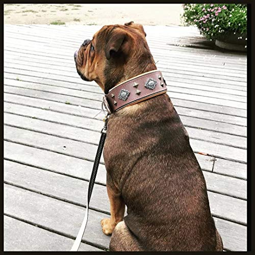 Bestia "Azteca Collar para Perros Gris