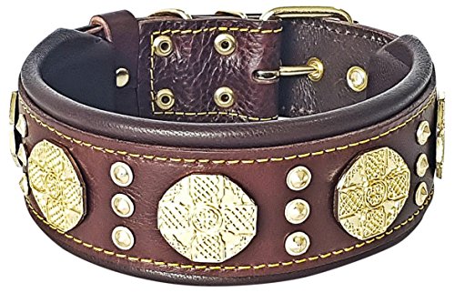 Bestia Maximus Collar de Perro de Piel auténtica, Razas Grandes