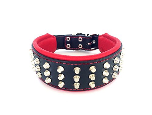 Bestia® "Stud Collar de Perros Grandes de Cuero Genuino. 6,3 cm de Ancho. Acolchado Suave Muy Duradero y cómodo. Hecho a Mano Garantizada Pitbull. Cane Corso. Rottweiler. Amstaff