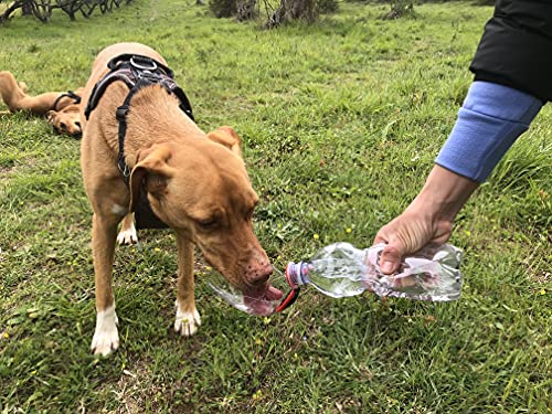 beviqui Bebedero de Perros conectable a: Botella de Agua para Perro. Indispensable Accesorios para Perros, Cuencos para Perros Portatil es un Dispensador de Agua para Perro