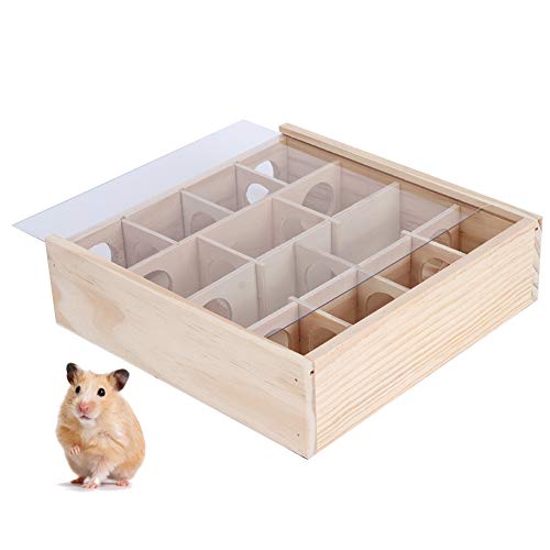 BGDR Juguete de hámster Birdlantern, Ratón de Laberinto de hámster Ratones Juguete Interactivo Inteligente para Mascotas de Madera Natural con Vidrio acrílico