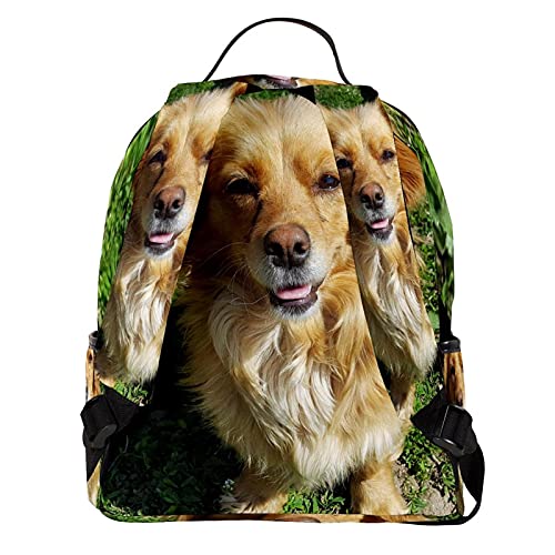 bibaodan Mochila Monedero Bolso para portátil para mujer Mini de cuero Puppy-Dog-Animal-Canine-Pet-Young-Mammal-Friend-golden-retriever para viajes al aire libre