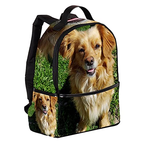 bibaodan Mochila Monedero Bolso para portátil para mujer Mini de cuero Puppy-Dog-Animal-Canine-Pet-Young-Mammal-Friend-golden-retriever para viajes al aire libre