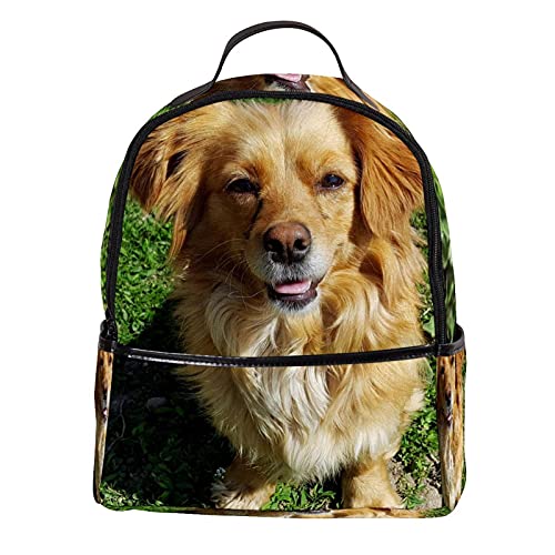 bibaodan Mochila Monedero Bolso para portátil para mujer Mini de cuero Puppy-Dog-Animal-Canine-Pet-Young-Mammal-Friend-golden-retriever para viajes al aire libre