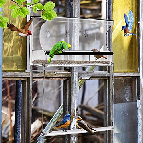 Binge Bird Feeder - Casita para pájaros para exteriores, con fuertes ventosas y cupelle para semillas, caseta para pájaros para exteriores, para aves silvestres, pinzones, cardenales y estrangulaos