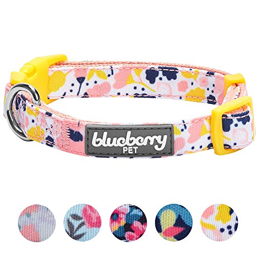 Blueberry Pet Made Well Blooming Floral Print Dog Collar in Creamy White for Small Dogs, S, Neck 30cm-40cm