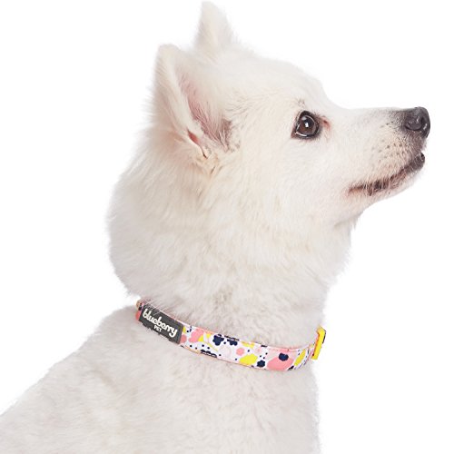 Blueberry Pet Made Well Blooming Floral Print Dog Collar in Creamy White for Small Dogs, S, Neck 30cm-40cm