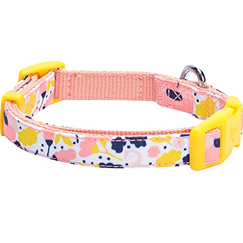 Blueberry Pet Made Well Blooming Floral Print Dog Collar in Creamy White for Small Dogs, S, Neck 30cm-40cm