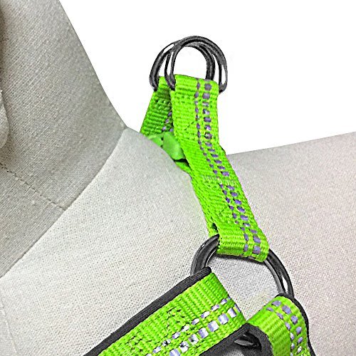 Blueberry Pet New 3M Reflective Step-in Pastel Baby Green Neoprene Paddd Dog Harness, Small