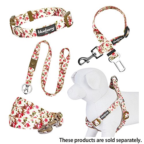 Blueberry Pet Rose Cerise OU Motifs Macarons Laisses Pour Chien, Collier assorti vendu séparément