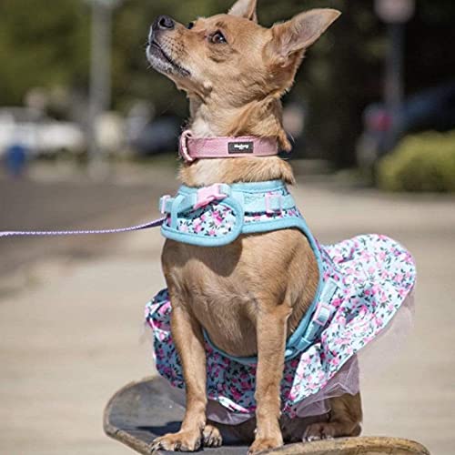 Blueberry Pet Spring Made Well Lindo vestido con estampado floral para perro, arnés en azul claro, circunferencia del pecho 48,5 cm-53,5 cm, cuello 39 cm-44 cm, pequeño, arnés ajustable para perros