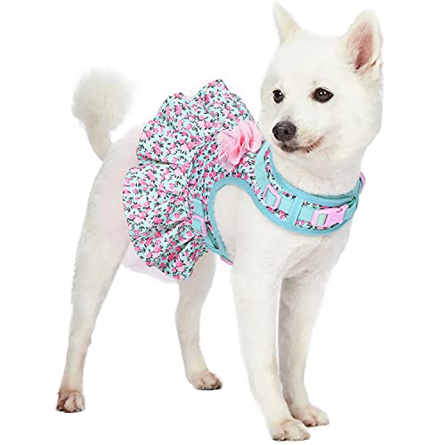 Blueberry Pet Spring Made Well Lindo vestido con estampado floral para perro, arnés en azul claro, circunferencia del pecho 48,5 cm-53,5 cm, cuello 39 cm-44 cm, pequeño, arnés ajustable para perros