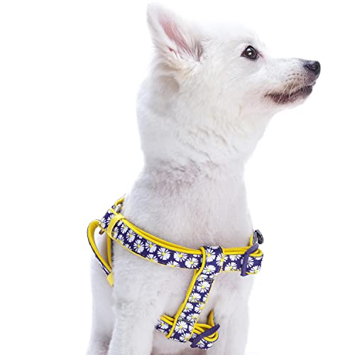 Blueberry Pet Step-in Daisy Prints Ultimate Adjustable No Pull Neoprene Padded Dog Harness, Chest Girth 51cm-66cm