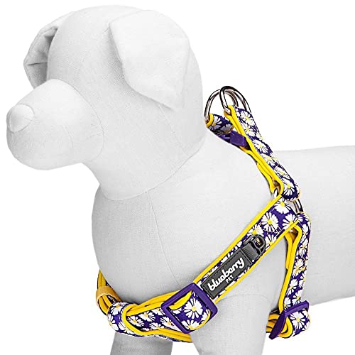 Blueberry Pet Step-in Daisy Prints Ultimate Adjustable No Pull Neoprene Padded Dog Harness, Chest Girth 51cm-66cm